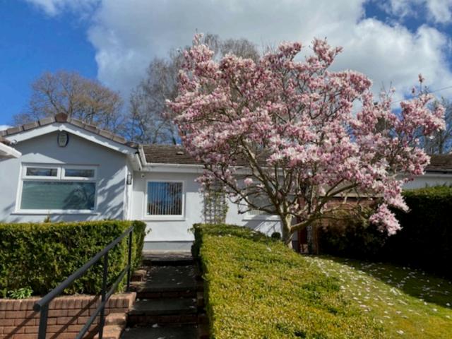 Bungalow for sale in Gilwern, Wales
