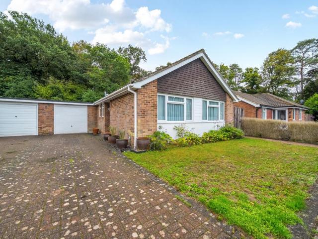 Bungalow for sale in Bolton Low Houses, Hampshire