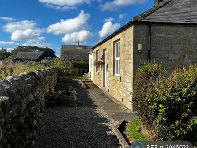 Bungalow for rent in Whittington, Matfen