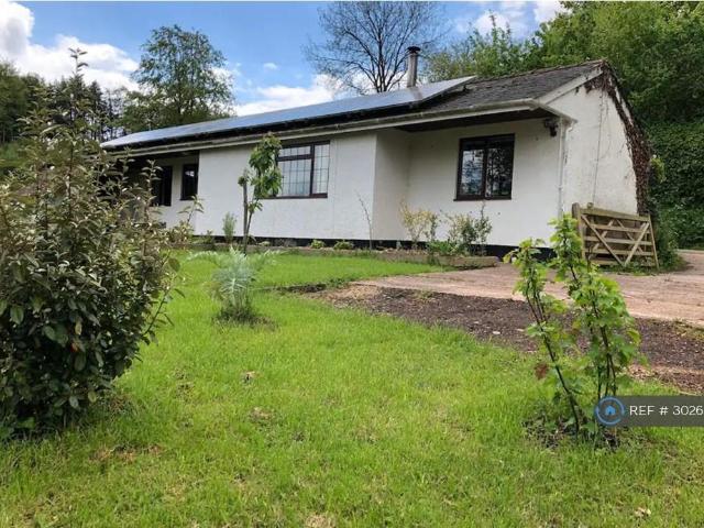 Bungalow for rent in Washfield, Newton St Cyres