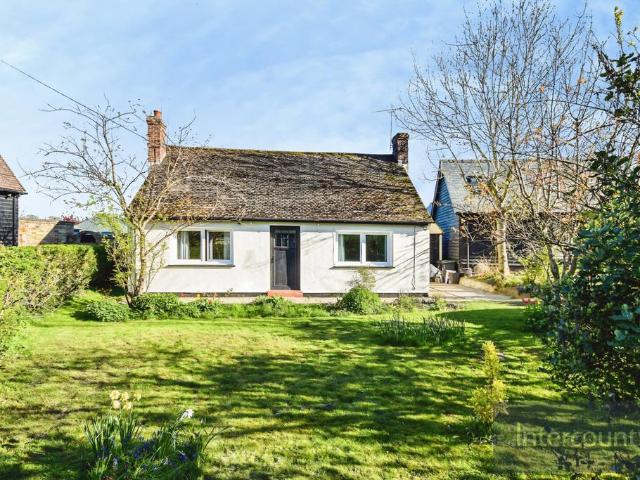 Bungalow for rent in Duton Hill, Essex