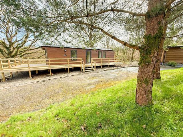 Park Home for sale in Cenarth, Wales