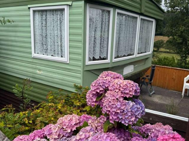 Property for sale in Llangyniew, Wales