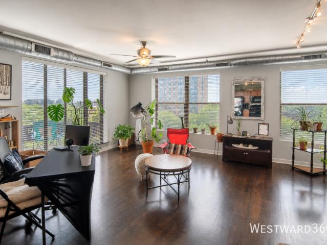 Apartment for rent in Kenwood, Chicago