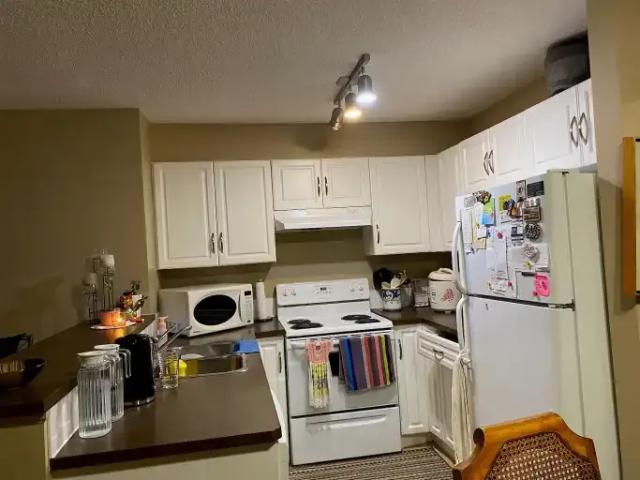 Condo for rent in McKenzie Towne, Calgary