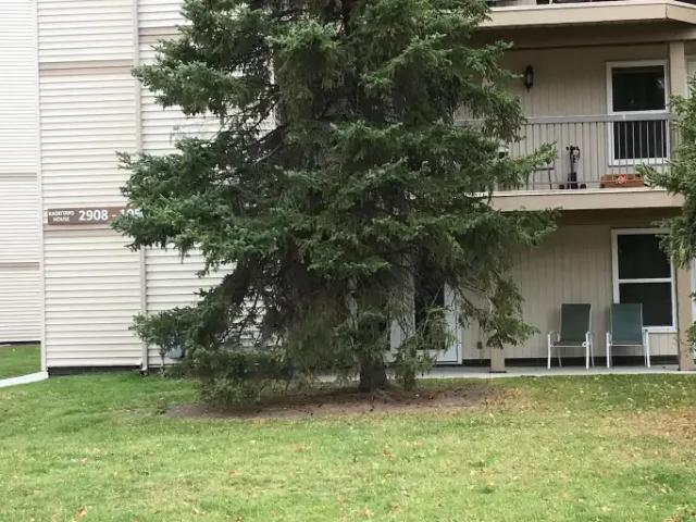 Condo for rent in Wedgewood, Alberta
