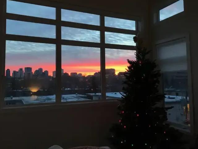 Condo for rent in Wedgewood, Alberta