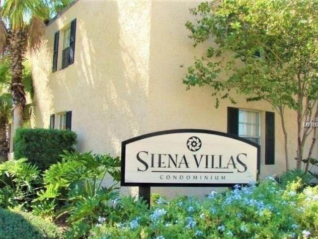 Condo for rent in Tampa, Florida