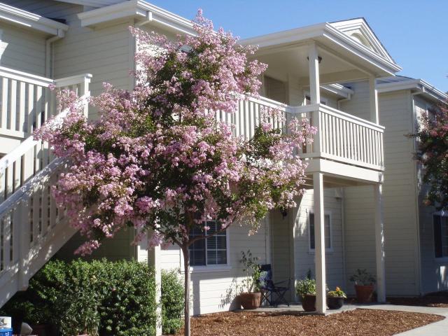 Condo for rent in Sonoma, California