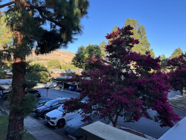Condo for rent in Fremont, California