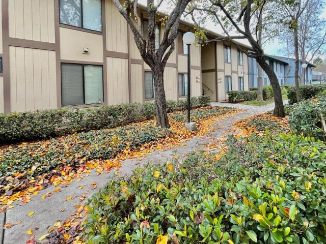 Condo for rent in Newark, California