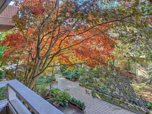 Condo for rent in Bellevue, Washington