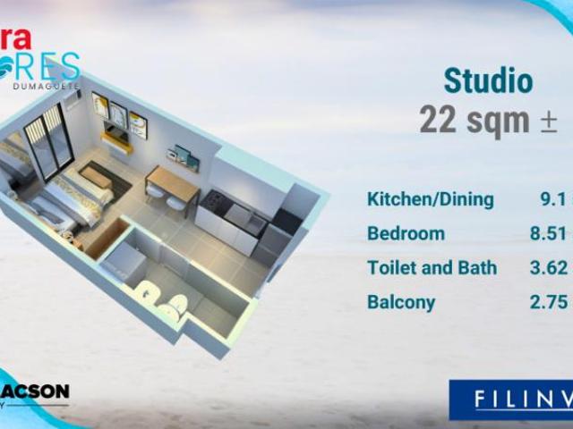 2 bedroom Condominium for sale in Dumaguete
