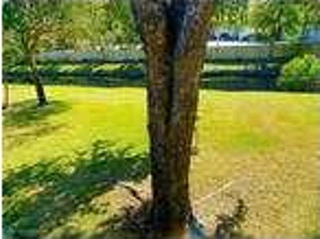 House for rent in Coral Springs, Broward County