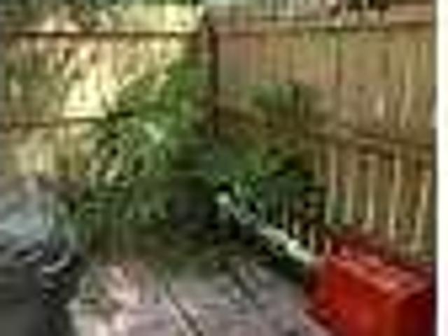 House for rent in Gainesville, Alachua County