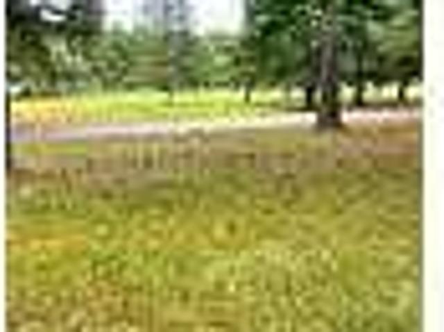 House for rent in Hamilton, Harris County