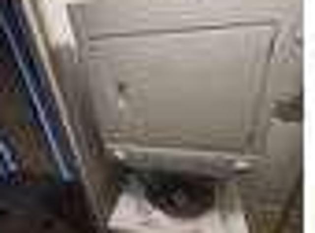 House for rent in Highwood, Illinois