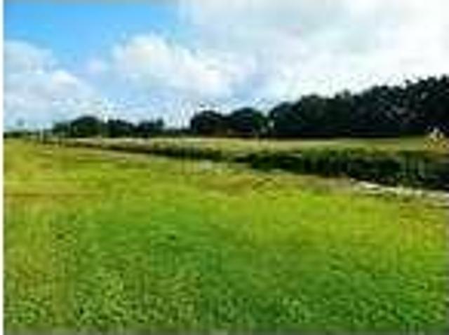 House for rent in Florida