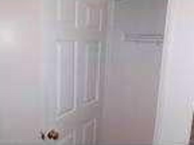 House for rent in Novi