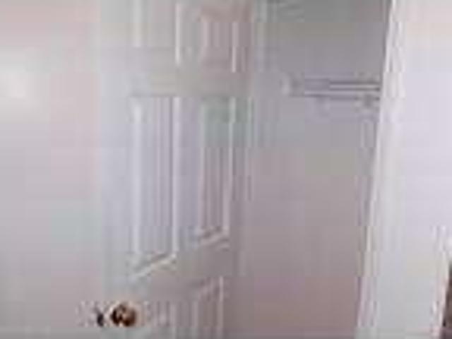 House for rent in Novi, Michigan