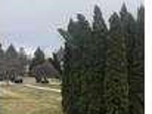 House for rent in Sterling Heights, Michigan