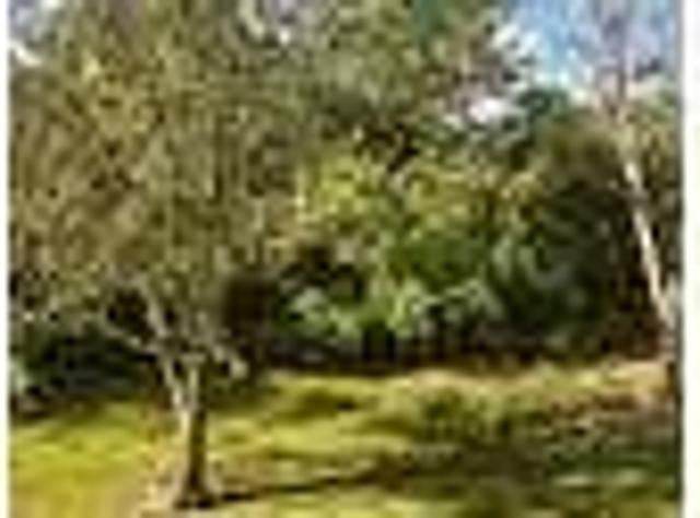 House for rent in Stuart, Martin County