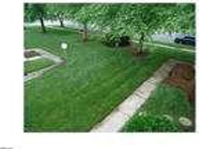 House for rent in Virginia