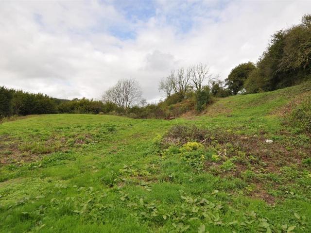 House for sale in Kings Wood, Llandyfaelog