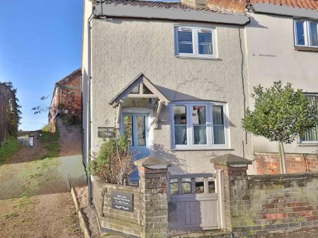 Cottage for sale in Long Stratton, South Norfolk