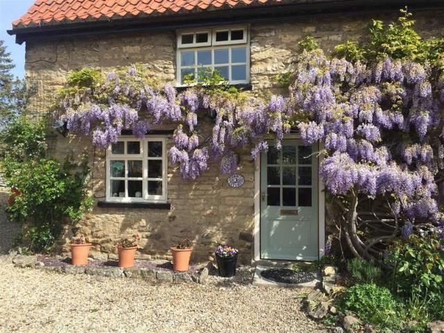 Cottage for sale in Snainton, North Yorkshire