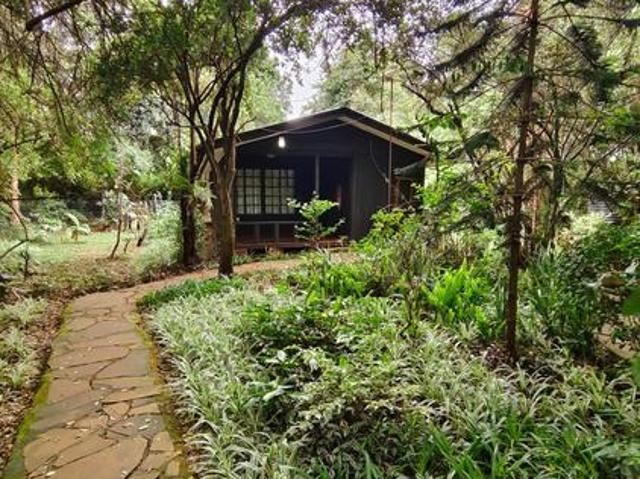 House for rent in Langata, Karen