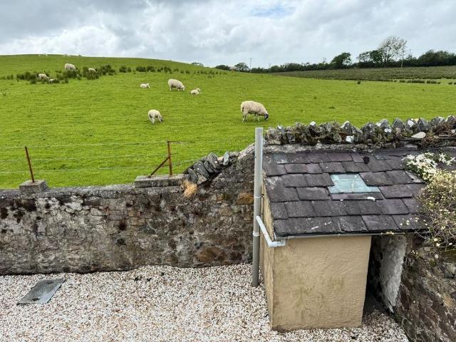 House for rent in Caernarfon