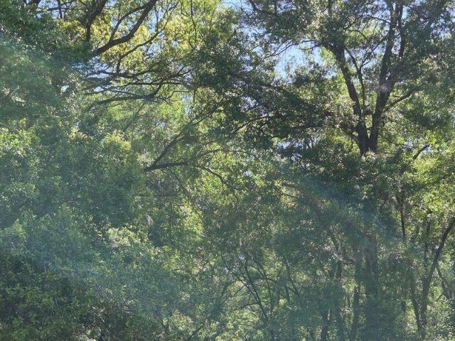 House for sale in Deland, Florida