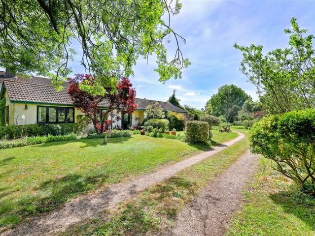 Bungalow for sale in Epping, Essex