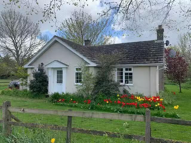 House for rent