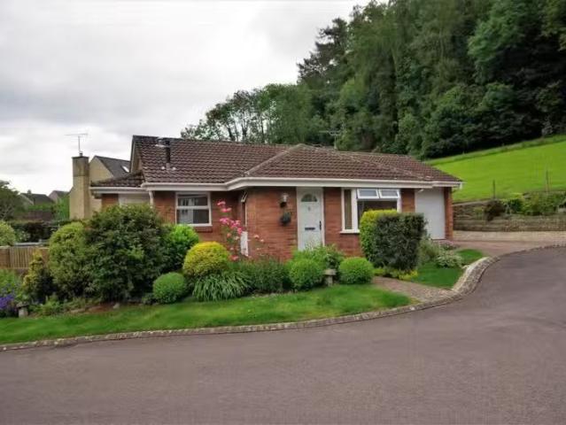 House for rent