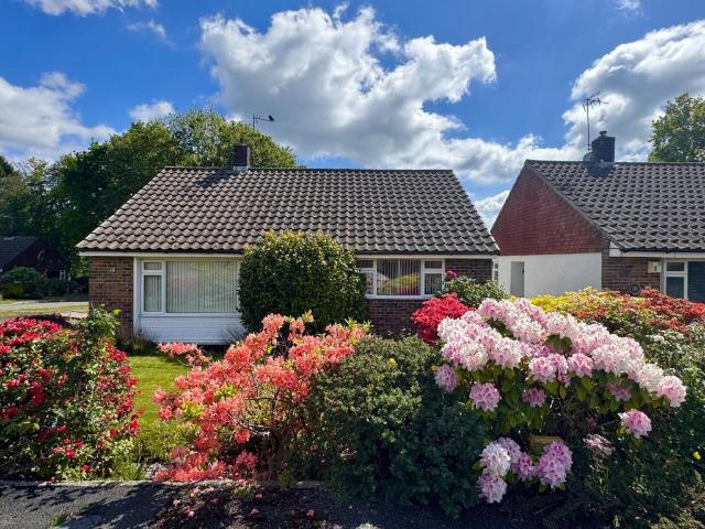 Bungalow for sale in Poundfield, Wealden
