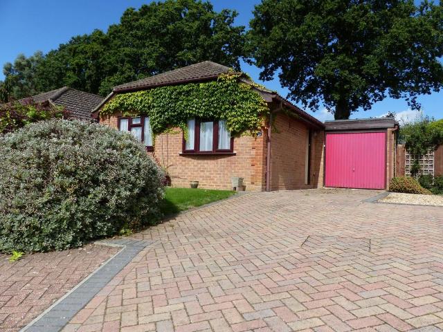 Bungalow for sale in Fole, Surrey
