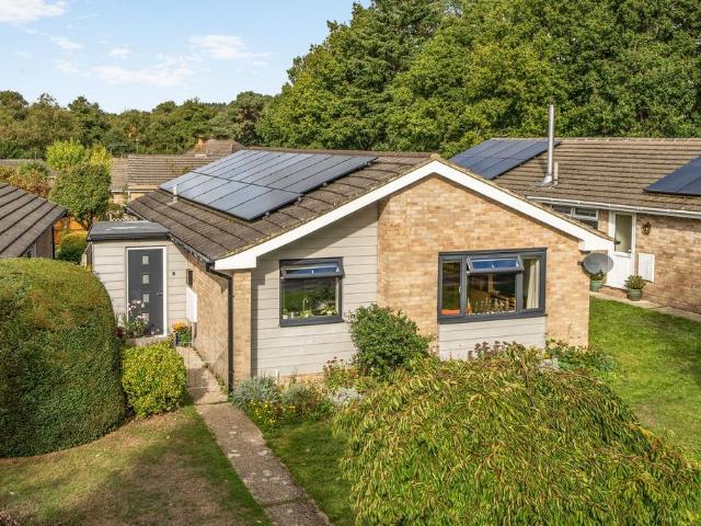 Bungalow for sale in Midhurst, Chichester
