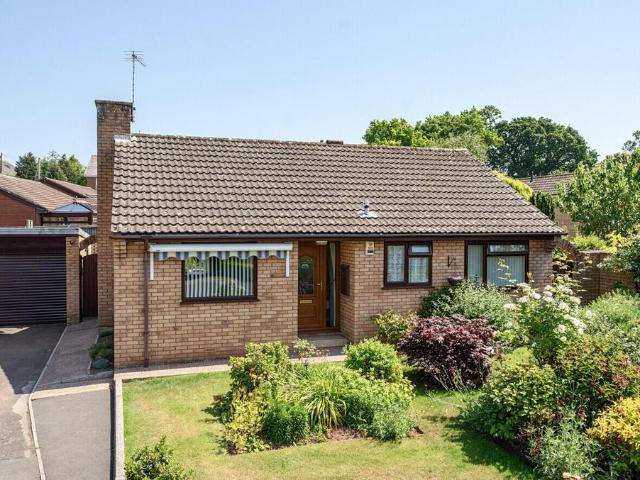 Bungalow for sale in Newton St Cyres, Devon