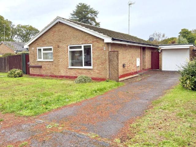 Bungalow for sale in Whitehill, East Hampshire