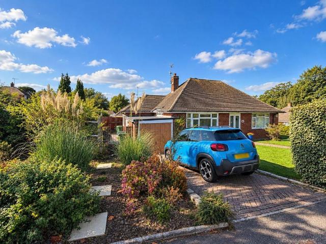 Bungalow for sale in Collington, Heathlands