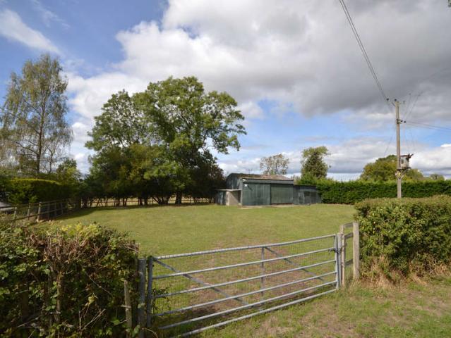 Farm for sale
