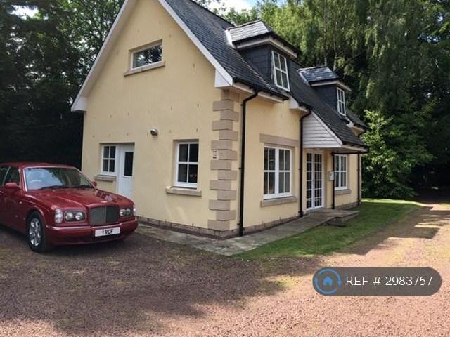 House for rent in Blairgowrie