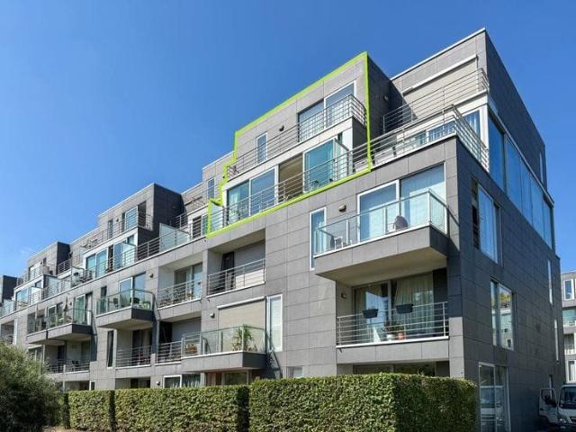 Appartement location à Desteldonk, Oost-Vlaanderen