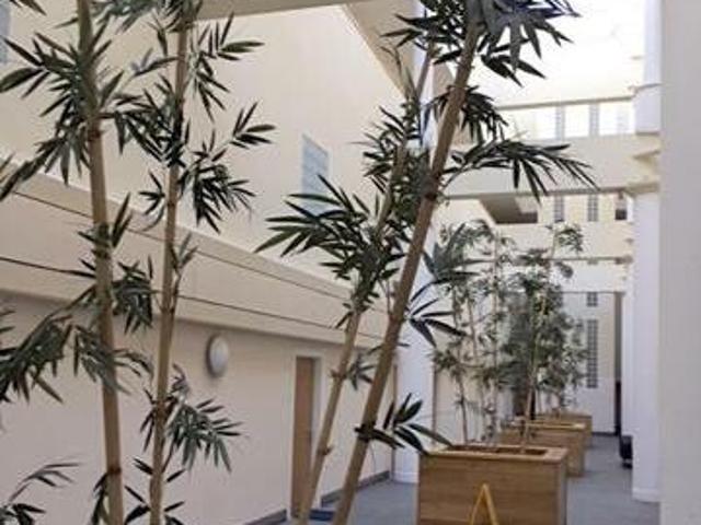 House for rent in Warrington
