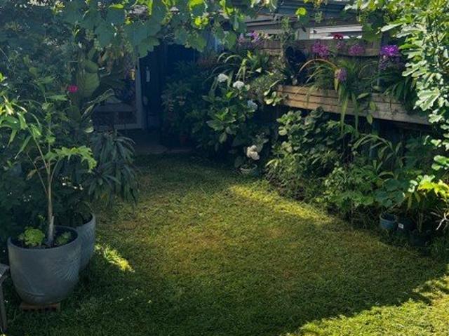 Duplex for rent in Toombul, Queensland