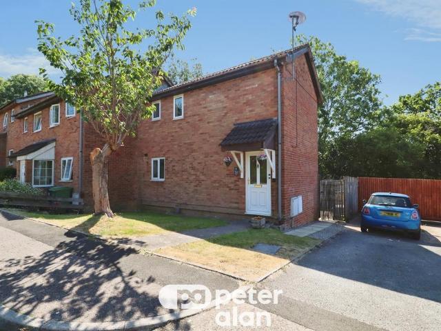 House for sale in Falcon Lodge, Wales