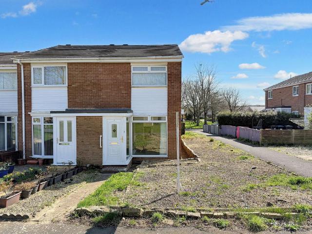 House for sale in Waldridge, Pelton Fell