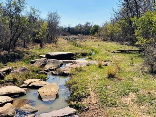 Farm for sale